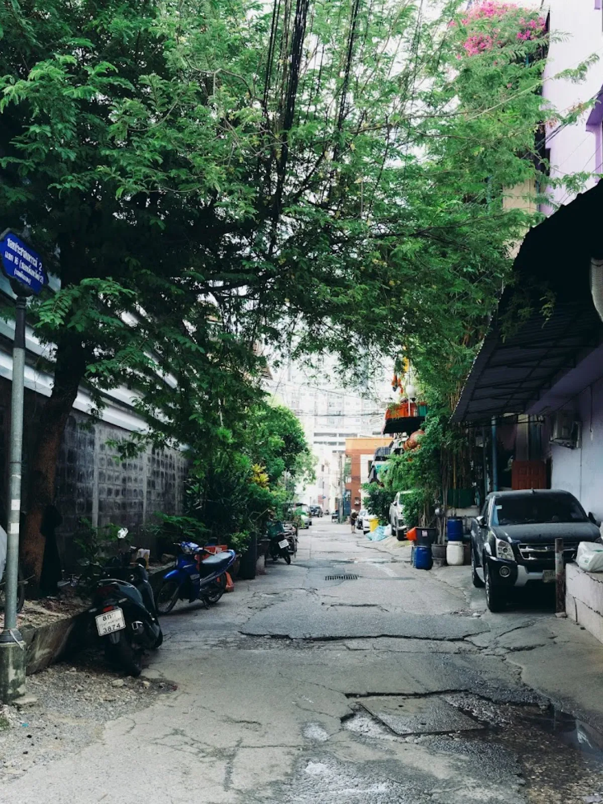 SOI / GREEN CANOPY