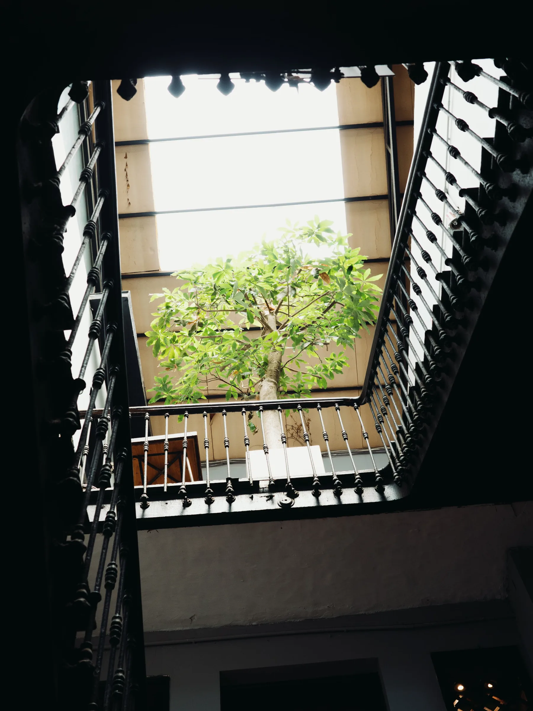 ATRIUM / COLONIAL