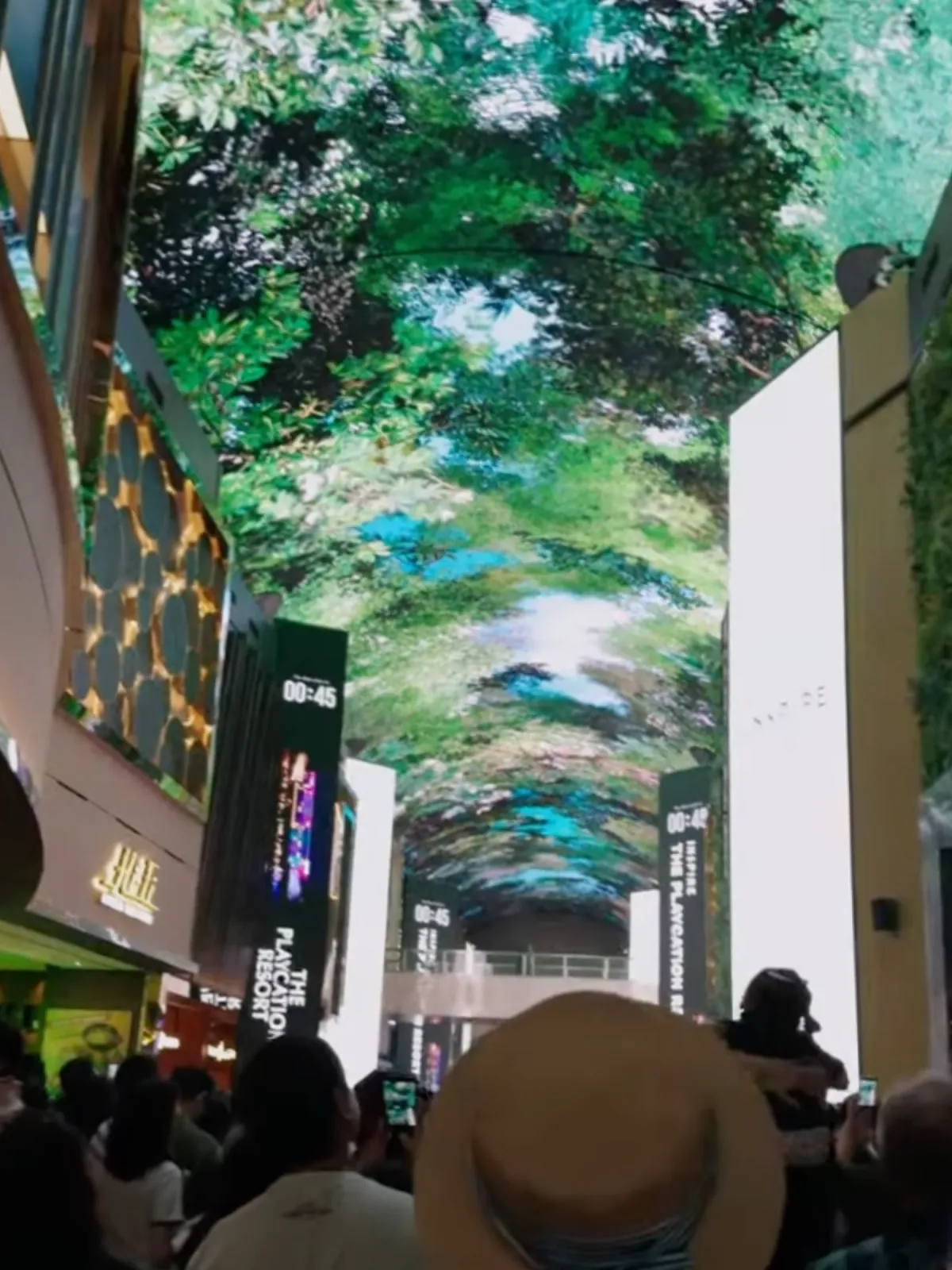 DIGITAL FOREST / COEX