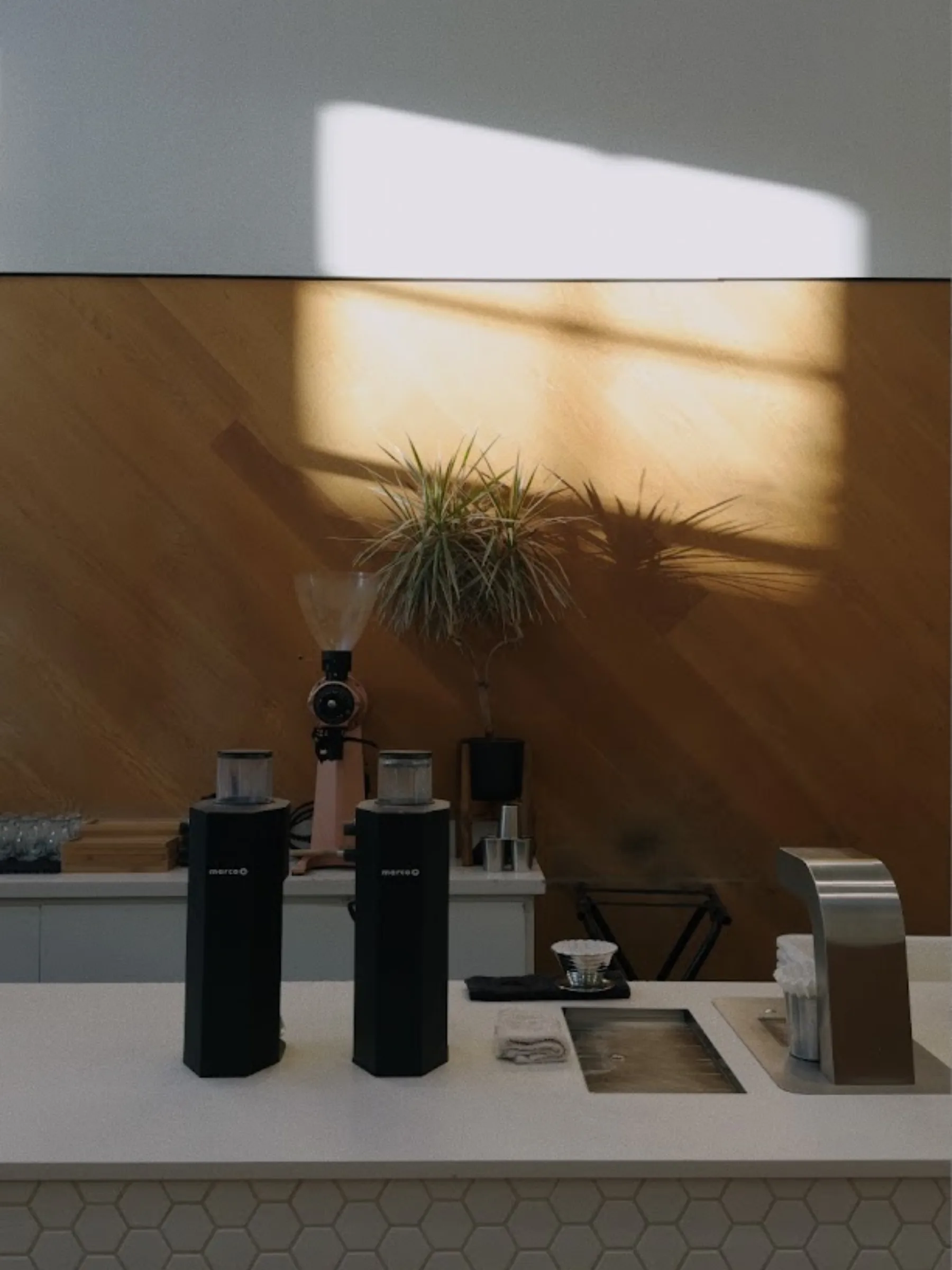 CAFE COUNTER / MORNING LIGHT