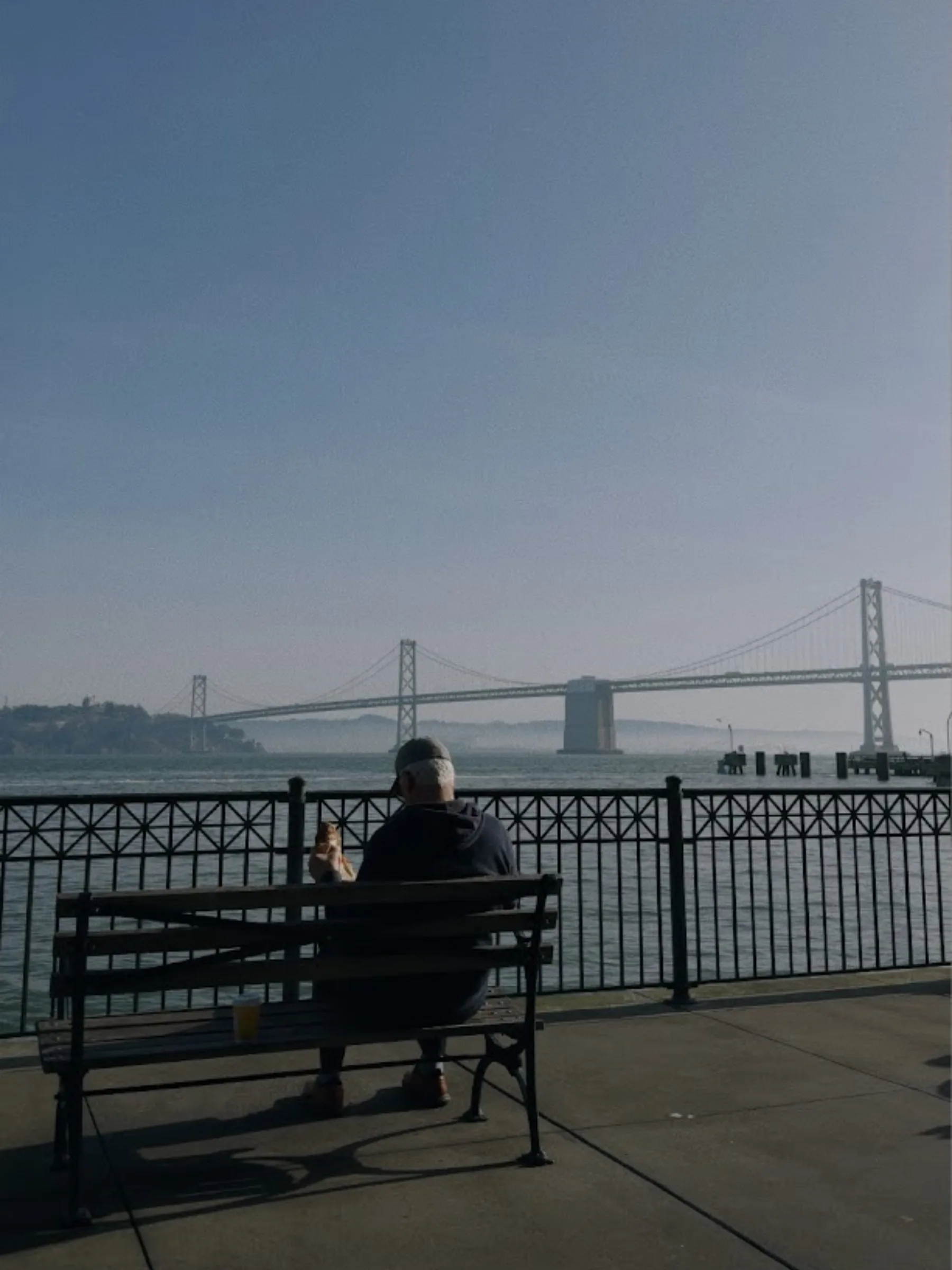BAY BRIDGE / BENCH