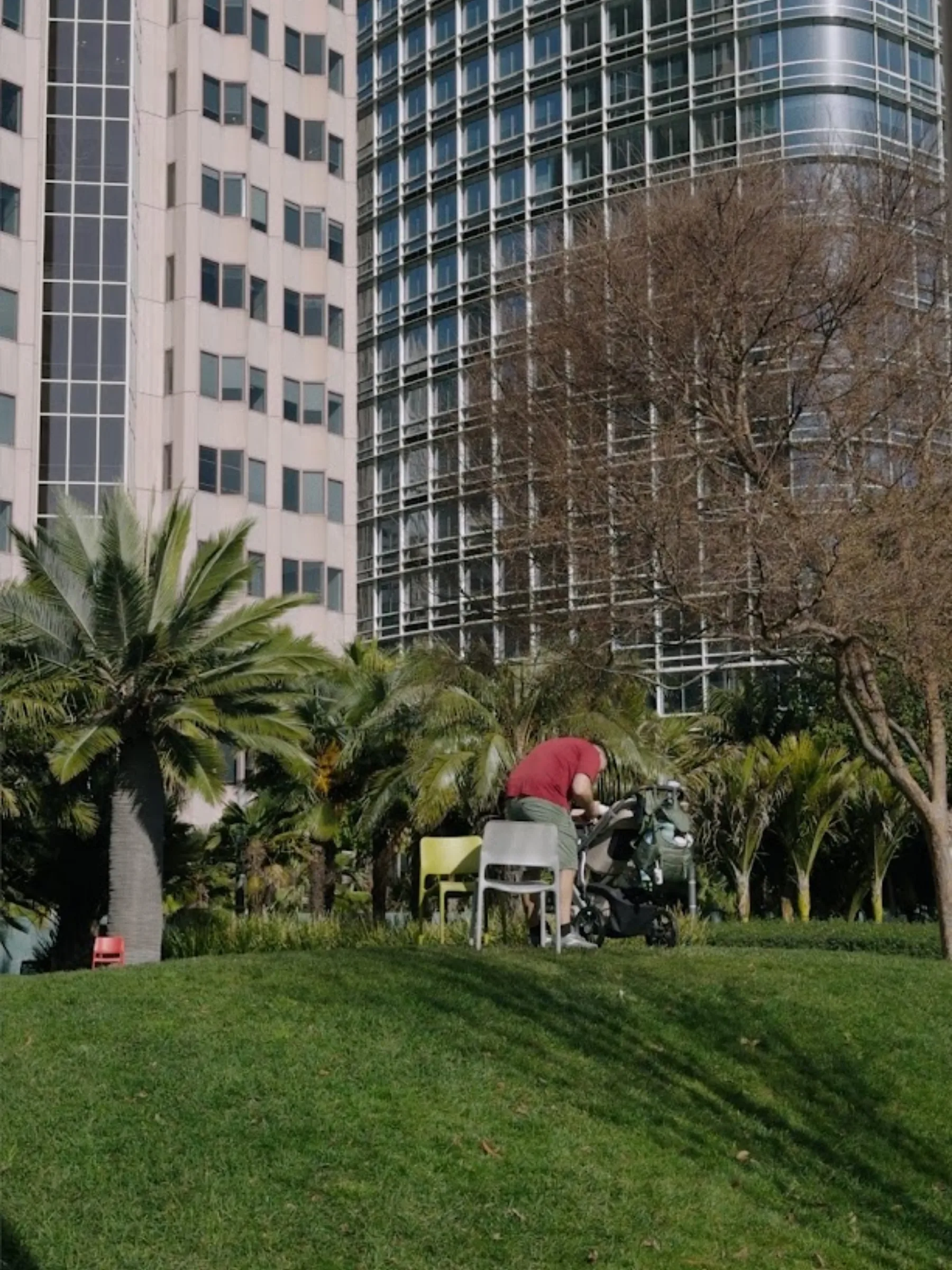 CIVIC CENTER / PALM LAWN